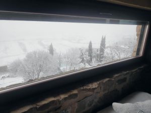 Vista nevada